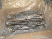 Frozen Mediterranean Sea Bass (Dicentrarchus labrax)