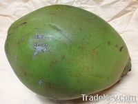 Green Coconut