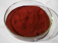 Salvia extract powder