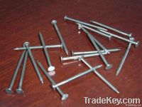 Common round wire nails