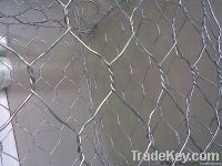 Hexagonal Wire Mesh/Chicken wire mesh netting