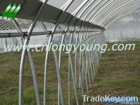 Tunnel-Connected Greenhouse