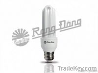 Compact Fluorescent Lamp (CFL Light)