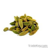 Cardamom