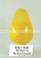 Berberine Hydrochloride