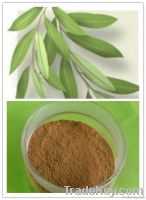 5% Hydroxytyrosol olive leaf extract