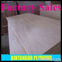 Good quality bintangor commercuial plywood in linyi market