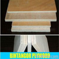 Best Price Bintangor Commercial Plywood