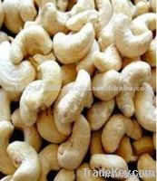 Dried Fruits | W240 Cashew Nuts Suppliers | W320 Cashew Nut Exporters | Cashew Nut Suppliers | Cashew Nut Exporters | Cashew Nut Manufacturers | Cheap Cashew Nut | Wholesale Cashew Nut