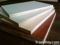 hardwood film faced plywood