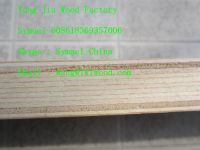 Furniture plywood sheet LVB/LVL (Laminated Veneer Lumber) along with Veneer