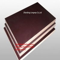 Waterproof construction plywood