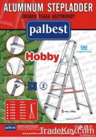 HOBBY HOUSE STEP LADDER