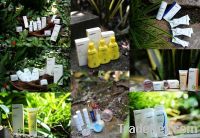 Paul Penders Botanical & Certified Vegan Skincare and Cosmetics