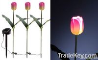 Solar Tulips Lights