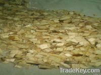 https://www.tradekey.com/product_view/Acacia-Woodchip-For-Paper-Pulp-4790279.html