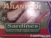 Canned sardines