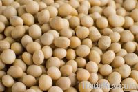 Soya Bean Oil | Refined Soybean Seed Oil Importers | Pure Soybeans Seed Oil Buyers | Crude Soybean Seed Oil Importer | Buy Soybeans Seed Oil | Crude Soybeans Oil Buyer