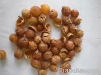 Soap Nuts Suppliers Nepal