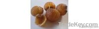 SoapNuts Wholesale Suppliers