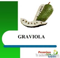 Peruvian Graviola Extract