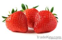 freeze dried strawberry