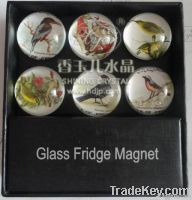 crystal fridge magnets