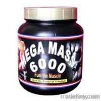 Mega Mass 6000 - Fuel The Muscle