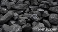 Coal