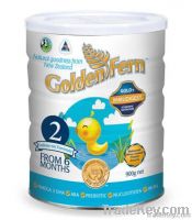 Golden Fern Step 2 - Infant Formular (6-12 Months)