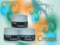 Day Cream