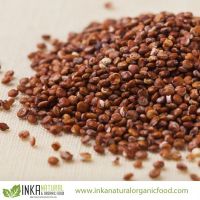 https://es.tradekey.com/product_view/Conventional-Red-Quinoa-Grain-From-Peru-Andes-6838993.html