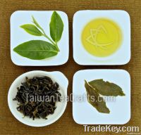 Taiwan Bao Zhong Oolong Tea