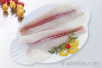 Pangasius Fillet Semi-trimmed