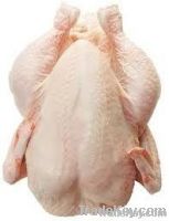 halal frozen whole chicken