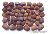 ox and cow gallstones