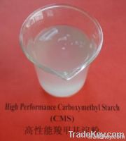 Carboxylmethtyl Starch