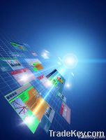 Ecommerce Websites