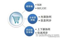 Website Design Shanghai