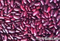 Red Kidney Beans