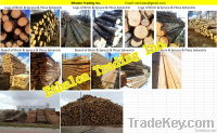 North Europe Logs & Boards