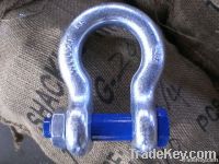 US Type Drop Forged Shackle