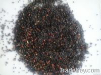 https://fr.tradekey.com/product_view/Barberry-Seed-4836499.html