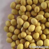 high quality refined soybean