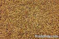 Fenugreek Seed