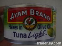 Tuna In Olive Oil