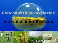 Feed Grade Chitosan Oligosaccharide