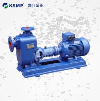 ZX Self-Priming (Chemical) Rinsing Centrifugal Pump
