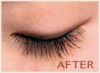 EYELASH EXTENSION KIT + TRAINING DVD