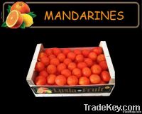 Mandarines